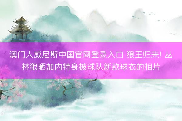 澳门人威尼斯中国官网登录入口 狼王归来! 丛林狼晒加内特身披球队新款球衣的相片