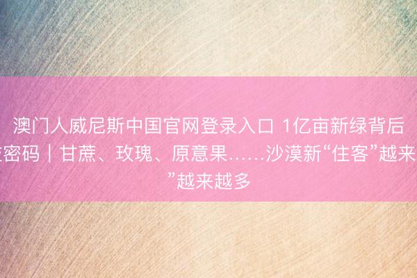 澳门人威尼斯中国官网登录入口 1亿亩新绿背后科技密码｜甘蔗、玫瑰、原意果……沙漠新“住客”越来越多