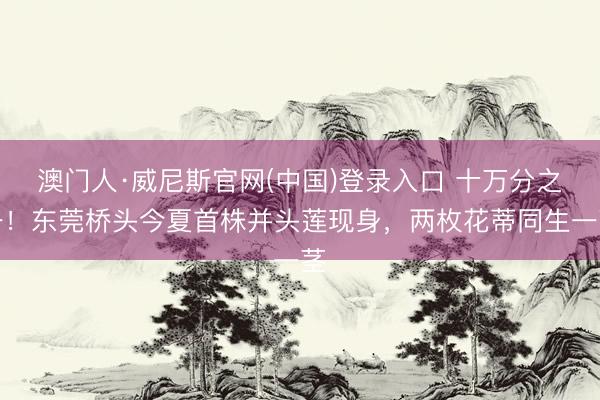 澳门人·威尼斯官网(中国)登录入口 十万分之一!东莞桥头今夏首株并头莲现身,两枚花蒂同生一茎
